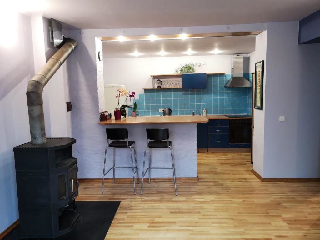 Апартаменты Park apartment Каунас-39