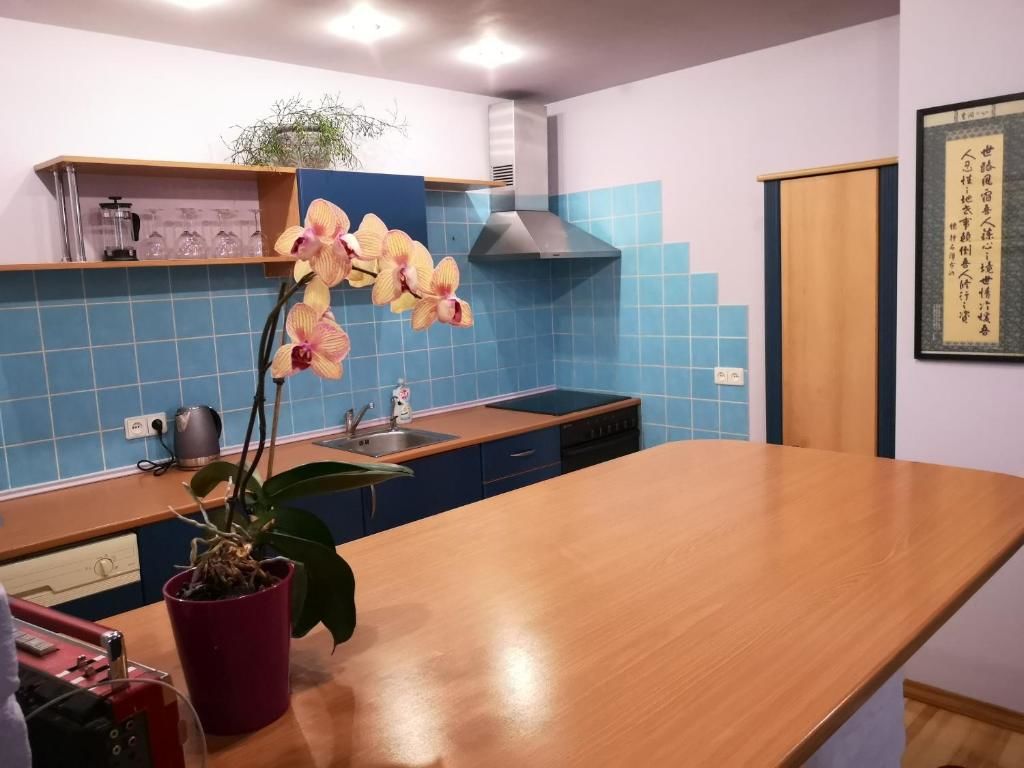 Апартаменты Park apartment Каунас-55